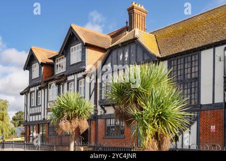 Il pub del villaggio Swan Inn. Horning, Wroxham, Norfolk, East Anglia, Inghilterra, Regno Unito, Regno Unito, Europa Foto Stock