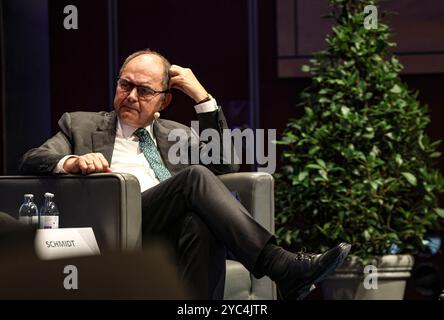 Salisburgo, Austria, Austria. 21 ottobre 2024. CHRISTIAN SCHMIDT, alto rappresentante per la Bosnia-Erzegovina, interviene al 20° Vertice europeo di Salisburgo, un incontro che riunisce rappresentanti e leader dei 27 Stati europei. Le questioni relative all'allargamento dell'Unione europea sono una grande preoccupazione per le nazioni dell'Unione europea e la questione della rapidità e dei vantaggi ha causato una parziale divisione degli stati. Crediti: ZUMA Press, Inc./Alamy Live News Foto Stock