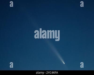 Cometa Tsuchinshan ATLAS C 2023 A3 in cielo vista intorno alla Germania sul 15. Ottobre 2024. La coda è molto lunga e visibile durante la notte. Foto Stock