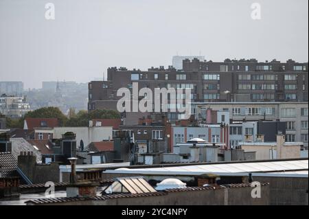 Vista ad alto angolo sui tetti e sugli appartamenti in un'area residenziale in una nebbiosa giornata nella regione di Bruxelles capitale, Belgio Foto Stock