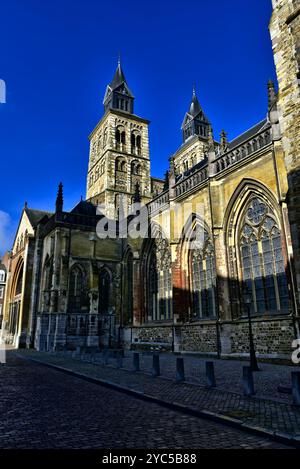 Antica basilica cattolica di San Servazio vista da Het Vagevuur in una mattinata di sole in autunno a Maastricht, nei Paesi Bassi Foto Stock