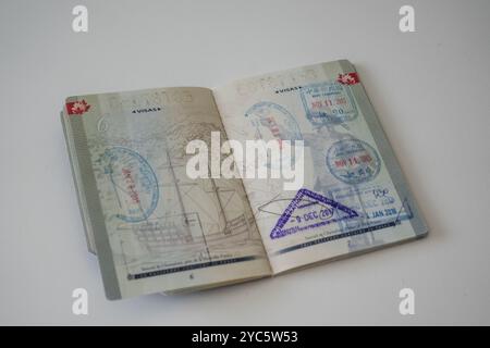 La pagina del visto all'interno di un passaporto canadese, piena di francobolli provenienti da vari paesi. Ogni francobollo rappresenta una destinazione di viaggio diversa, che mostra il Foto Stock