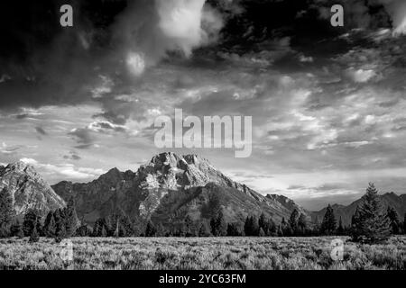 WY05750-00-BW..... WYOMING - luce dell'alba sul Monte Moran vista dall'affluenza di Mountain View, Grand Teton National Park. Foto Stock