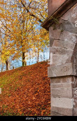 Vista autunnale del parco pubblico delle antiche mura di Lucca con foglie di ippocastano Foto Stock