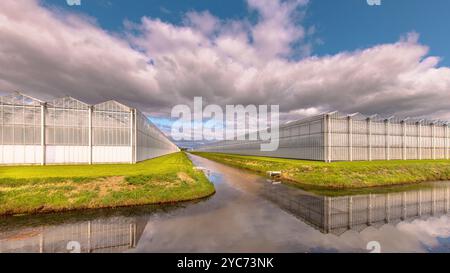 Esterni industriali a effetto serra nei Paesi Bassi. Industria alimentare con edifici giganti. Foto Stock