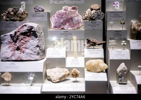 Eberly Minerals and Gems Gallery Lithium Minerals Washington DC / WASHINGTON DC - la Eberly Minerals and Gems Gallery offre un'esposizione completa di minerali contenenti litio tra cui lepidolite, Cookerite, Amblygonite, Montebrasite e Spodumene. Questa collezione dimostra le diverse forme mineralogiche del litio, un elemento cruciale nella tecnologia moderna. Gli esemplari presentano varie strutture cristalline e formazioni caratteristiche dei depositi di pegmatite ricchi di litio. Foto Stock