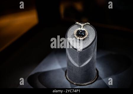 WASHINGTON DC, Stati Uniti - il diamante Hope, un raro diamante blu 45,52-carati, è una delle pietre preziose più famose al mondo. È in mostra permanente allo Smithsonian National Museum of Natural History di Washington DC. Donata dal gioielliere Harry Winston nel 1958, questa gemma iconica ha una storia storica risalente a secoli fa. Foto Stock