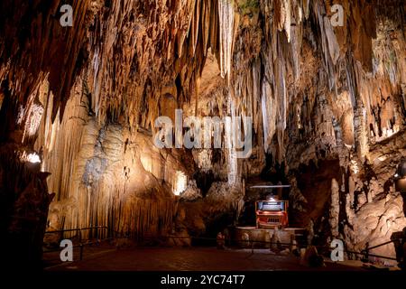 LURAY, Virginia, Stati Uniti — il Great Stalacpipe Organ, situato a Luray Caverns, è lo strumento musicale più grande del mondo, che utilizza stalattiti naturali per produrre suoni. Progettato e costruito da Leland W. Sprinkle nel 1956, questo organo unico copre oltre un ettaro di caverne, producendo musica con stalattiti sorprendenti con mazzuoli con punta in gomma. Foto Stock