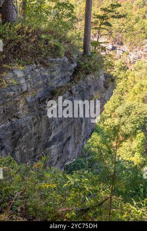 Vista panoramica lungo l'East Rim Trail al Cloudland Canyon State Park sulla Lookout Mountain a Rising Fawn, Georgia. (USA) Foto Stock