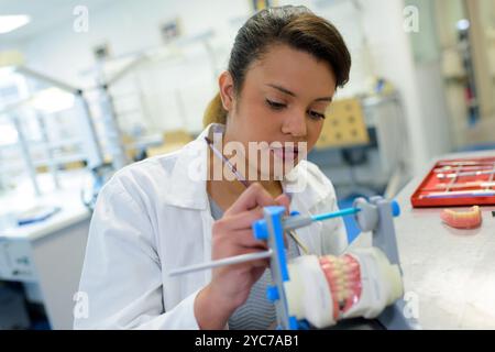 Odontotecnico lavora su protesi Foto Stock