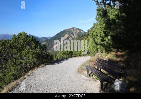 Herzogstand, Bayern, Deutschland, 21 anni. Oktober 2024: Ein Herbsttag am Herzogstand Gemeinde KochelLandkreis Bad Tölz-Wolfratshausen. Hier der Blick auf den Verbindungsweg, Wanderweg von der Bergstation der Seilbahn zum Herzogstand mit tollem Panorama, Ausblick, eine Parkbank, Sitzbank re. im Hintergrund der Heimgarten Bayerische Voralpen, Wandern, Bergwandern, Alpen, hoch über dem Walchensee, Zweiseenland, spazieren, Herbst, herbstlich, Sonnenwetter, Ausflugswetter, München Hausberg *** Herzogstand, Baviera, Germania, 21 ottobre 2024 una giornata autunnale presso il comune di Herzogstand, distretto di Kochel Foto Stock