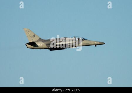 Aeronautica militare ceca L-159A Alca Foto Stock