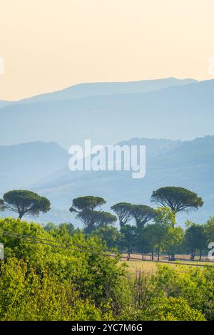 Dintorni di Pescolanciano, Isernia, Molise, Italia Foto Stock