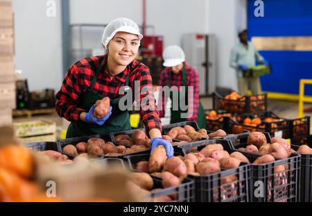 Il lavoratore di magazzino controlla la qualità del raccolto di patate raccolto Foto Stock