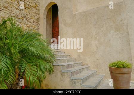 Porta e gradini costellati con piante in vaso, Museo della Kasbah, Tangeri, Marocco Foto Stock