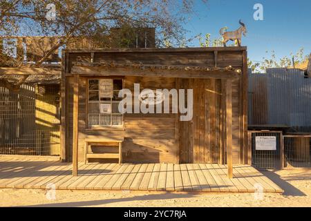 Negozio di saponi e capre a Pioneertown, Callifornia. E' un negozio a conduzione familiare che ha una penna con le capre accanto. Foto Stock