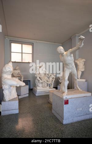 Museo di Arte classica, Università della Sapienza, Roma, Lazio, Italia Foto Stock