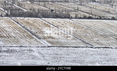 HAMI, CINA - 20 OTTOBRE 2024 - neve pesante portata da forte aria fredda cade sul versante nord del monte Tianshan a Hami, provincia dello Xinjiang, Cina Foto Stock