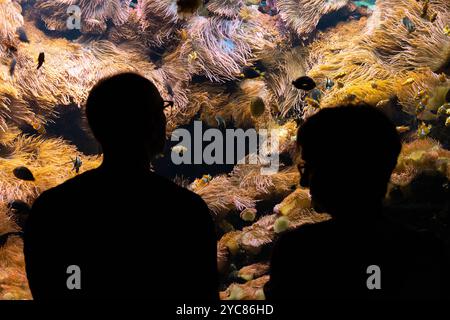 Francoforte, Assia, Germania. 21 ottobre 2024. Una coppia guarda i pesci in un acquario allo zoo di Francoforte, in Germania. (Immagine di credito: © Matias Basualdo/ZUMA Press Wire) SOLO PER USO EDITORIALE! Non per USO commerciale! Foto Stock