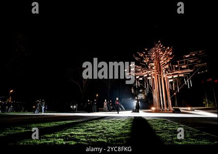 Non esclusiva: ZAPORIZHZHIA, UCRAINA - 18 OTTOBRE 2024 - installazione dell'albero della memoria del scenografo ucraino, attore e regista teatrale Dmyt Foto Stock