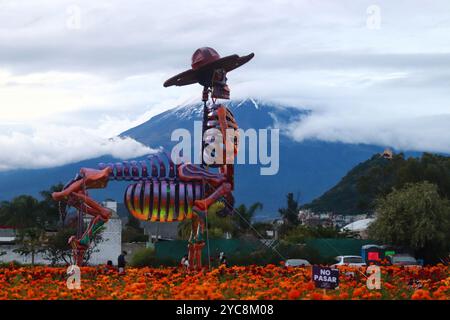 Atlixco, Pueblo, Messico. 21 ottobre 2024. Una catrina monumentale in cartone è visibile durante l'esposizione della quarta edizione delle catrine monumentali di Atlixco, nello stato di Puebla, visitabile dall'11 ottobre al 10 novembre, quest'anno con il tema delle figure storiche del Messico come parte delle celebrazioni di dia de Muertos. Il 21 ottobre 2024 ad Atlixco, Messico. (Credit Image: © Carlos Santiago/eyepix via ZUMA Press Wire) SOLO PER USO EDITORIALE! Non per USO commerciale! Crediti: ZUMA Press, Inc./Alamy Live News Foto Stock