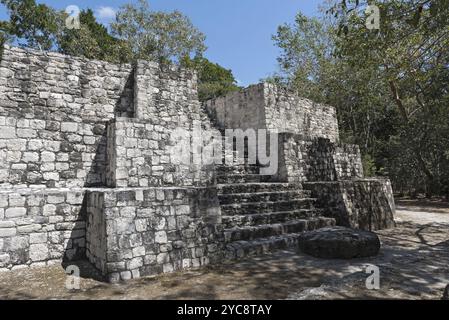 Le rovine dell'antica città maya di calakmul, campeche, Messico, America centrale Foto Stock