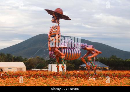 Mostra Atlixco Monumental Catrinas Una catrina monumentale in cartone è visibile durante la mostra della quarta edizione delle catrine monumentali di Atlixco, nello stato di Puebla, visitabile dall'11 ottobre al 10 novembre, quest'anno con il tema delle figure storiche del Messico come parte delle celebrazioni di dia de Muertos. Il 21 ottobre 2024 ad Atlixco, Messico. Atlixco Puebla Messico Copyright: XCarlosxSantiagox Foto Stock