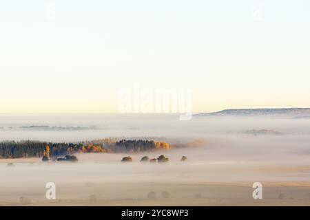 Mattina nebbia sulla pianura con una foresta con colori autunnali Foto Stock
