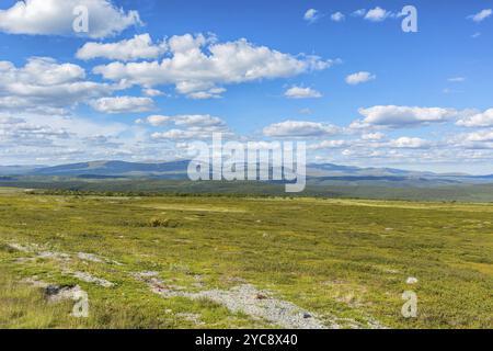 Tundra bella vista del paesaggio con montagne in orizzonte in estate Foto Stock