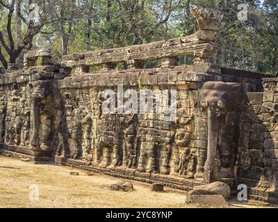 La Terrazza degli Elefanti fa parte della città fortificata di Angkor Thom, Siem Reap, Cambogia, Asia Foto Stock