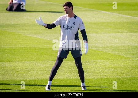 Valdebebas, Madrid, Spagna. 21 ottobre 2024. Thibaut Courtois del Real Madrid CF ha visto allenarsi durante l'allenamento della fase MD3 della UEFA Champions League 2024/25 e la conferenza stampa al Ciudad Real Madrid il 21 ottobre 2024 a Madrid, Spagna. (Credit Image: © Alberto Gardin/ZUMA Press Wire) SOLO PER USO EDITORIALE! Non per USO commerciale! Foto Stock