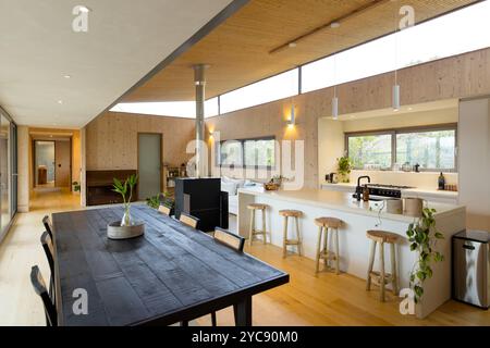 Moderna cucina open-space e zona pranzo con accenti di legno naturale e piante, a casa Foto Stock