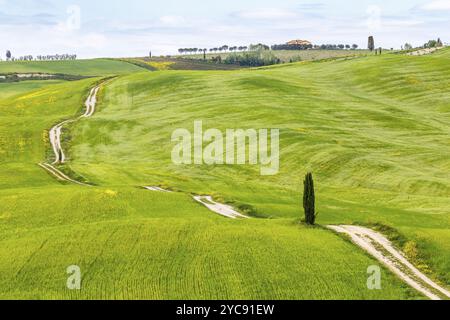 La laminazione del paesaggio agricolo con una strada sterrata attraverso i campi Foto Stock