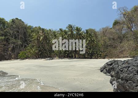 Spiaggia tropicale di palme sull'isola di Cebaco panama Foto Stock