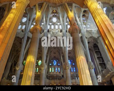 Colonne e finestre della Sagrada Familia, Barcellona, Catalogna, Spagna, 10 ottobre 2014, Europa Foto Stock