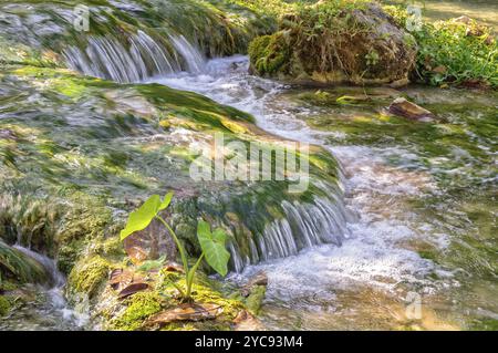 Acque cristalline di Mele Creek, Port Vila, Efate Island, Vanuatu, Oceania Foto Stock