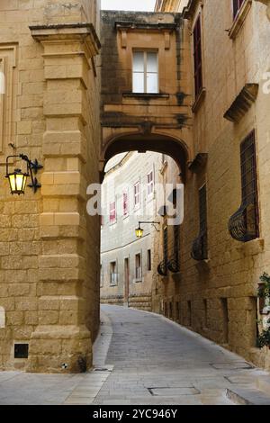 Una strada stretta e tortuosa con un passaggio ad arco, Mdina, Malta, Europa Foto Stock