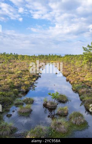 Acqua in un fossato su una torba Foto Stock