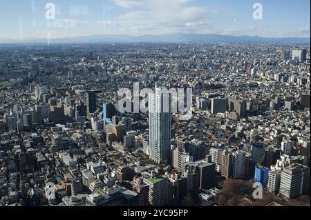 01.01.2018, Tokyo, Giappone, Asia, Una vista dal Palazzo del governo Metropolitano di Tokyo sull'infinito mare di edifici nella capitale giapponese Tokyo Foto Stock