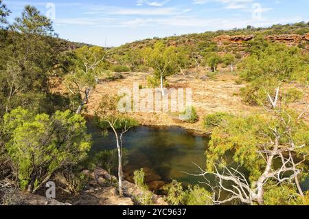 Gomme e rocce rosse lungo il fiume Murchison, Kalbarri, WA, Australia, Oceania Foto Stock