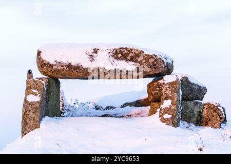 Corvo che siede su una tomba di età della pietra in inverno con neve Foto Stock