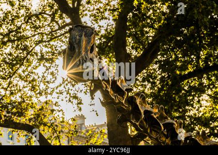 Il sole autunnale splende attraverso il Diplodocus di bronzo ("Fern") nell'Evolution Garden presso il Museo di storia naturale, South Kensington, Londra, Regno Unito Foto Stock