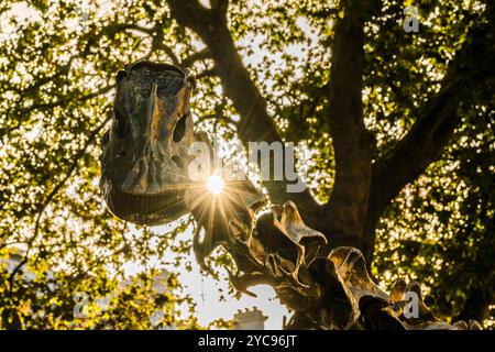 Il sole autunnale splende attraverso il Diplodocus di bronzo ("Fern") nell'Evolution Garden presso il Museo di storia naturale, South Kensington, Londra, Regno Unito Foto Stock