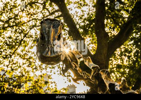 Il sole autunnale splende attraverso il Diplodocus di bronzo ("Fern") nell'Evolution Garden presso il Museo di storia naturale, South Kensington, Londra, Regno Unito Foto Stock