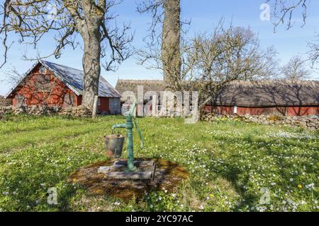 Pompa dell'acqua con un secchio in un giardino di fattoria e. fiori di primavera fioriti Foto Stock