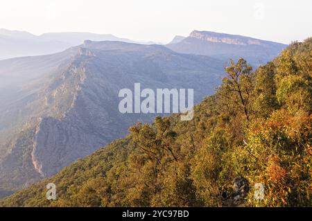 Wonderland Range all'alba fotografato dal Boroka Lookout, Grampians, Victoria, Australia, Oceania Foto Stock