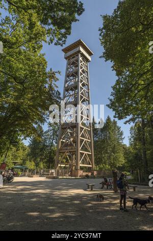 Nuova torre di osservazione in legno Goetheturm Francoforte, Germania, Europa Foto Stock