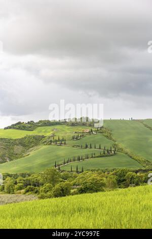 Vista rurale dei campi con una strada di campagna tortuosa su una collina dalla valle Foto Stock