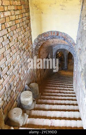 Scala fino a una vecchia cantina di vini Foto Stock