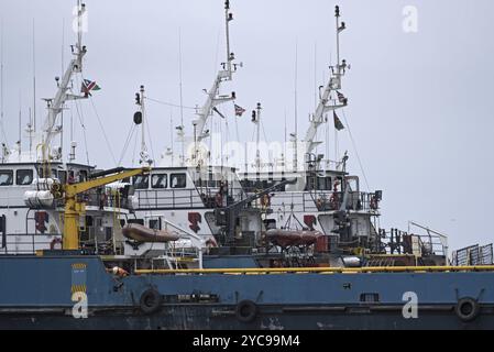 Navi nel porto atlantico della baia di walvis, namibia Foto Stock